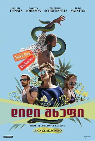 დიდი შხეფი / A Bigger Splash