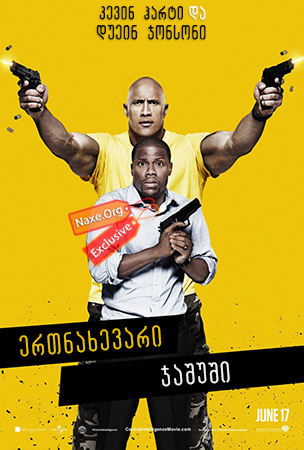 ერთნახევარი ჯაშუში / Central Intelligence