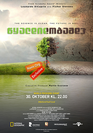 წყალდიდობამდე / Before the Flood