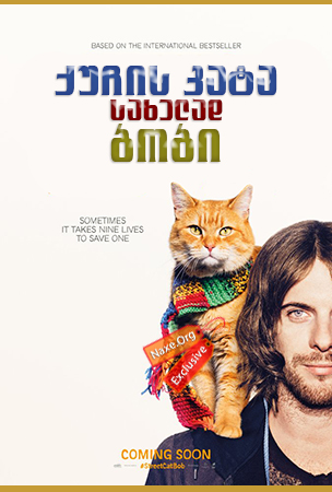 ქუჩის კატა სახელად ბობი / A Street Cat Named Bob