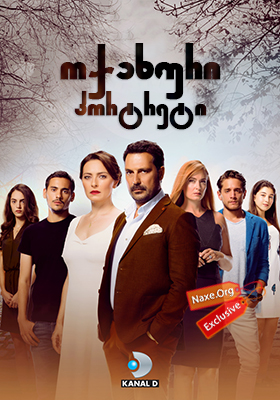 ოჯახური პორტრეტი / Babam ve Ailesi