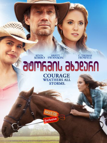 შტორმის მხედარი (ქართულად) / Storm Rider / shtormis mxedari (qartulad)