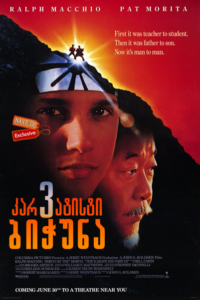 კარატისტი ბიჭუნა 3 / karatisti bichuna 3