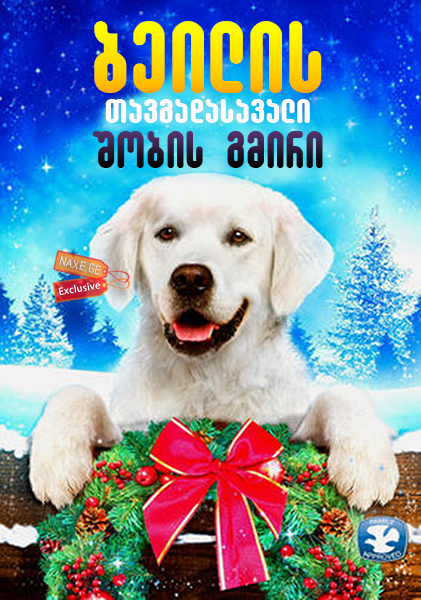 ბეილის თავგადასავალი: შობის გმირი / Adventure of Bailey: Christmas Hero