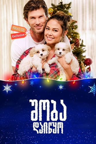 შობა დაიწყო / Christmas Unleashed