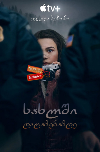 სახლში დაღამებამდე / Home Before Dark (Hilde Cracks the Case)
