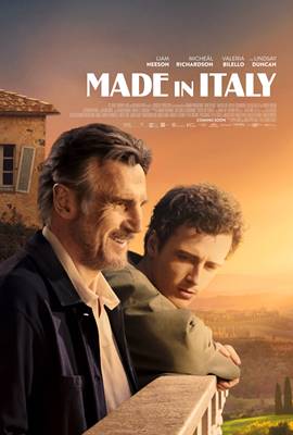 დამზადებულია იტალიაში / Made in Italy / damzadebulia italiashi