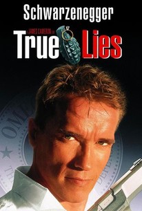 მართალი ტყუილები / True Lies / martali tyuilebi