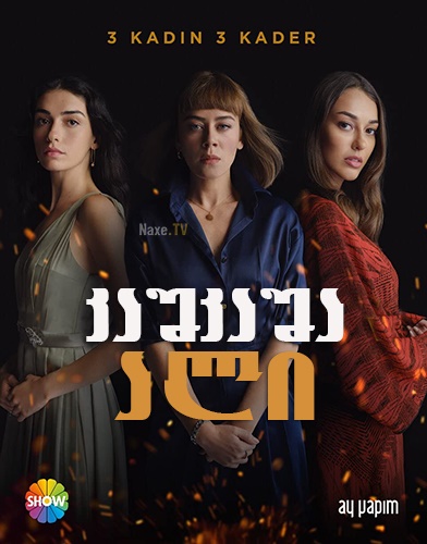 კაშკაშა ალი / Alev Alev