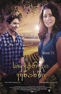 სიყვარული ვენახში / Love in the Vineyard
