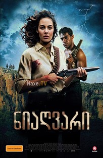 ნიაღვარი / The Flood
