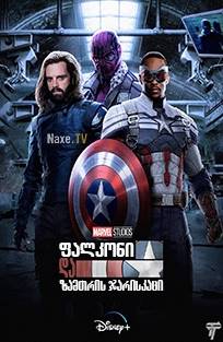 ფალკონი და ზამთრის ჯარისკაცი / The Falcon and the Winter Soldier