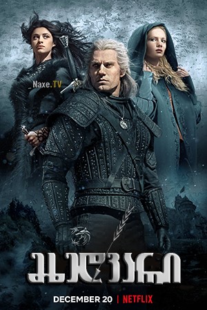 მხედვარი / The Witcher