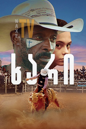 ხარი / Bull