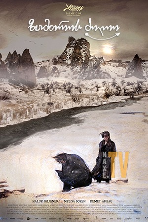 ზამთრის ძილი / Winter Sleep (Kis Uykusu)
