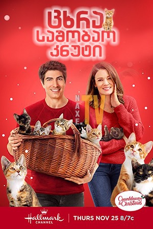 ცხრა საშობაო კნუტი / The Nine Kittens of Christmas