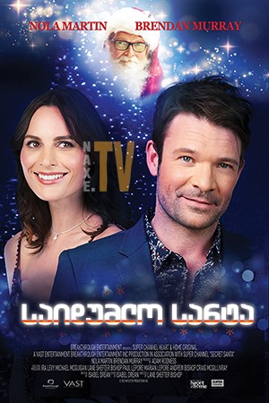 საიდუმლო სანტა / Secret Santa