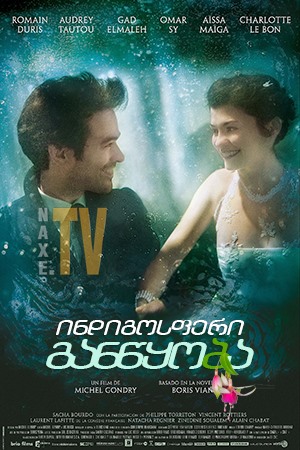 ინდიგოსფერი განწყობა / Mood Indigo