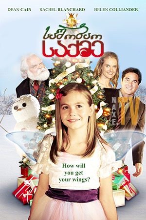 საშობაო საქმე / The Case for Christmas
