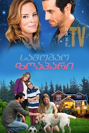 საშობაო ზღაპარი / Christmas Tail
