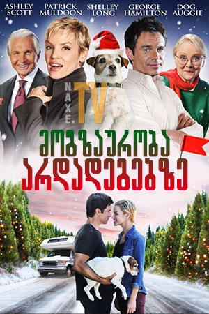 მოგზაურობა არდადეგებზე / Holiday Road Trip