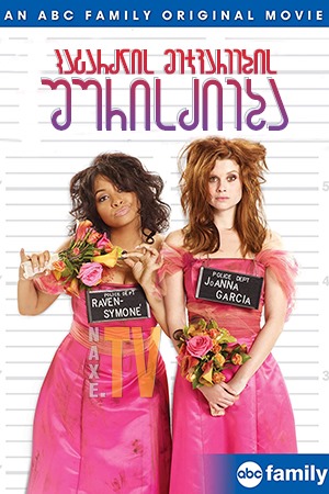 პატარძლის მეჯვარეების შურისძიება / Revenge of the Bridesmaids
