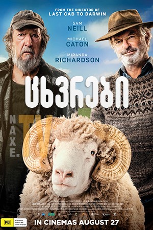 ცხვრები / Rams