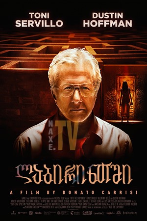 ლაბირინთში / Into the Labyrinth (L'uomo del labirinto)