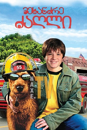 მეხანძრე ძაღლი / Firehouse Dog