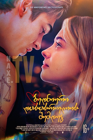ბედნიერი დასასრულის შემდეგ / After Ever Happy