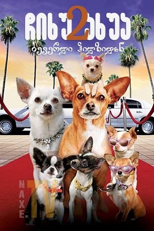ჩიხუახუა ბევერლი ჰილზიდან 2 / Beverly Hills Chihuahua 2