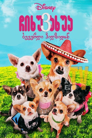 ჩიხუახუა ბევერლი ჰილზიდან 3 / Beverly Hills Chihuahua 3: Viva La Fiesta!