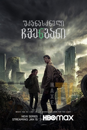 უკანასკნელი ჩვენგანი / The Last of Us