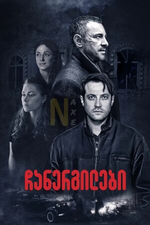 ჩანერგილები / Under Correction