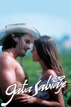 ველური კატა / Gata salvaje
