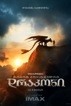 როგორ მოვარჯულოთ დრაკონი / How to Train Your Dragon
