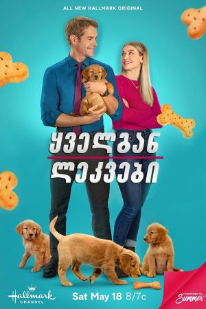 ყველგან ლეკვები / Everything Puppies