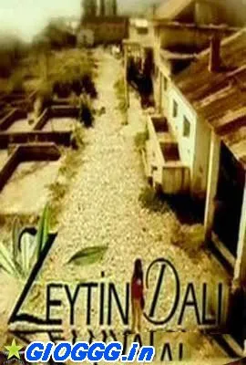 ზეთისხილის ფილიალი (ქართულად) / Zeytin Dali 2005 / zetiskhilis piliali qartulad