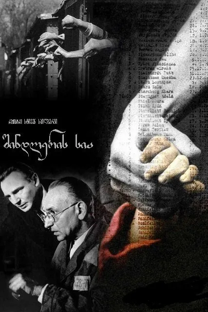 შინდლერის სია (ქართულად) / Schindler's List (Shindleris Sia Qartulad) ქართულად 1993 / shindleris sia qartulad
