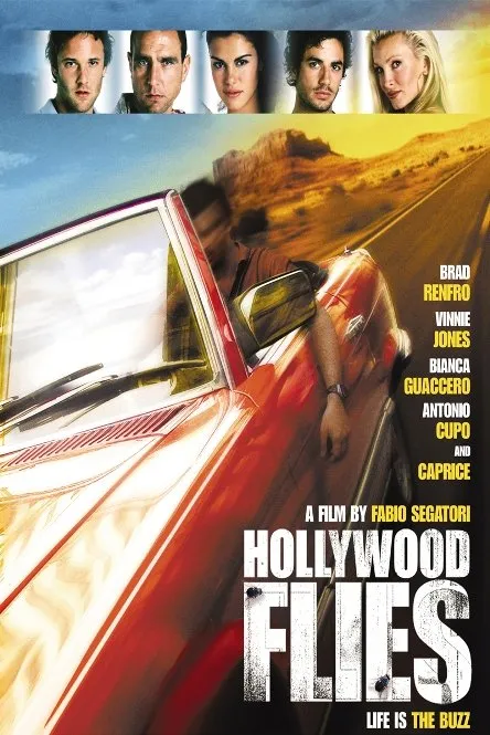 მძარცველები ჰოლივუდიდან (ქართულად) / Hollywood Flies ქართულად 2005 / mdzartsvelebi holivudidan qartulad