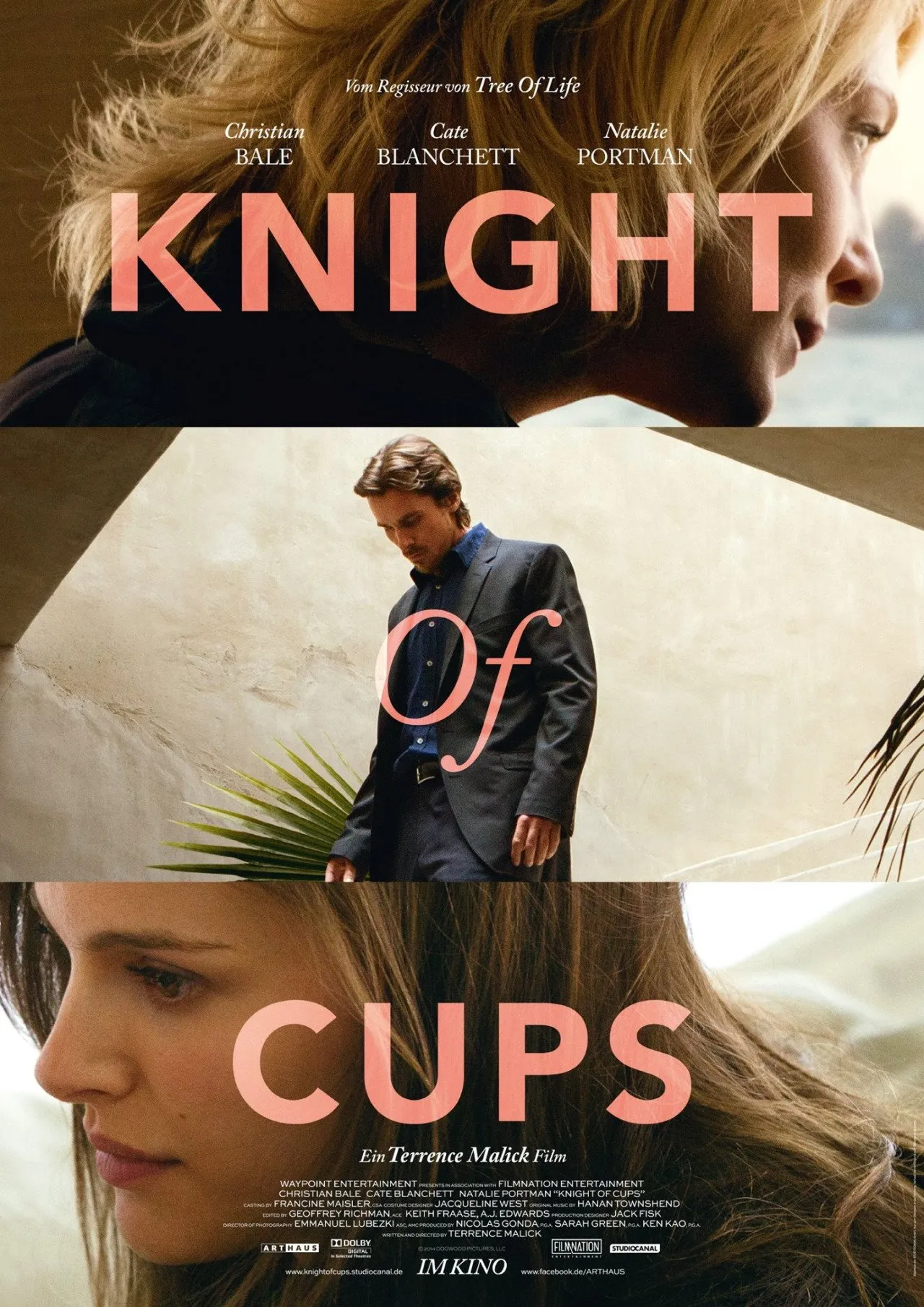 თასების რაინდი (ქართულად) / Knight of Cups (Tasebis Raindi Qartulad) ქართულად 2015 / tasebis raindi qartulad