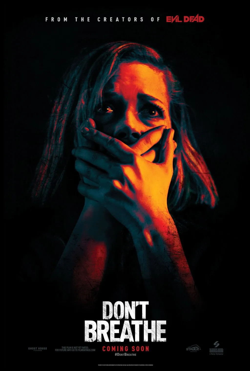 არ ისუნთქო (ქართულად) / Don't Breathe (Ar Isuntqo Qartulad) ქართულად 2016 / ar isuntko qartulad
