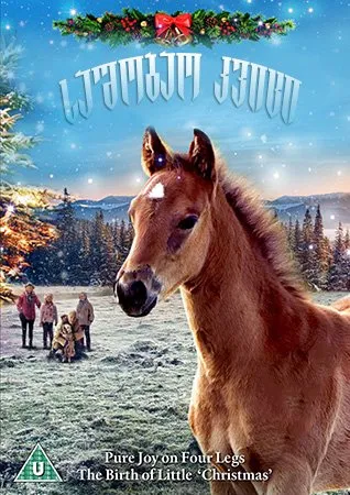 საშობაო კვიცი (ქართულად) / The Christmas Colt (Sashobao Kvici Qartulad) ქართულად 2013 / sashobao kvitsi qartulad
