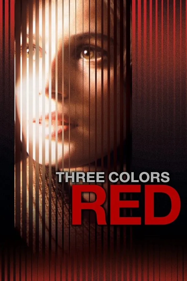 სამი ფერი: წითელი (ქართულად) / Three Colors: Red (Trois couleurs: Rouge) ქართულად 1994 / sami peri tsiteli qartulad