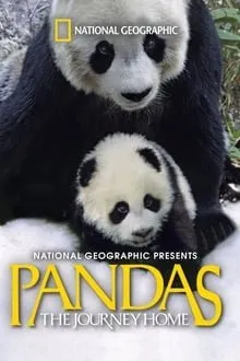 პანდები: შინ დაბრუნება (ქართულად) / Pandas: The Journey Home ქართულად 2014 / pandebi shin dabruneba qartulad