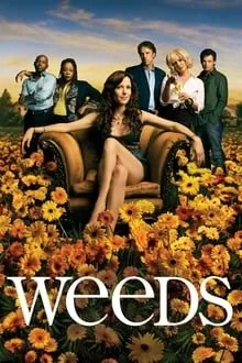 მოსაწევი სეზონი 8 სეზონი 8 (ქართულად) / Weeds Season 8 ქართულად / mosatsevi sezoni 8 qartulad sezoni 8