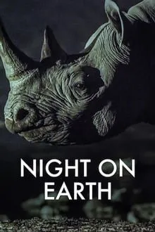 ღამე დედამიწაზე (ქართულად) / Night on Earth (Game Dedamiwaze Qartulad) ქართულად 2020 / ghame dedamitsaze qartulad