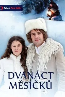 12 თვე (ქართულად) / Dvanáct mesícku ქართულად 2012 / 12 tve qartulad