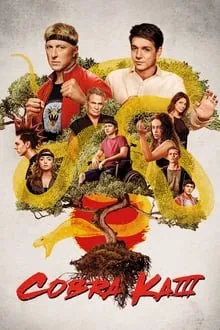 კობრა კაი სეზონი 3 სეზონი 3 (ქართულად) / Cobra Kai Season 3 ქართულად / kobra kai sezoni 3 qartulad sezoni 3