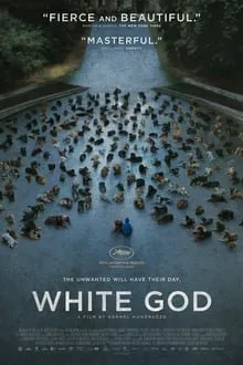 თეთრი ღმერთი (ქართულად) / White God (Tetri Gmerti Qartulad) ქართულად 2014 / tetri ghmerti qartulad